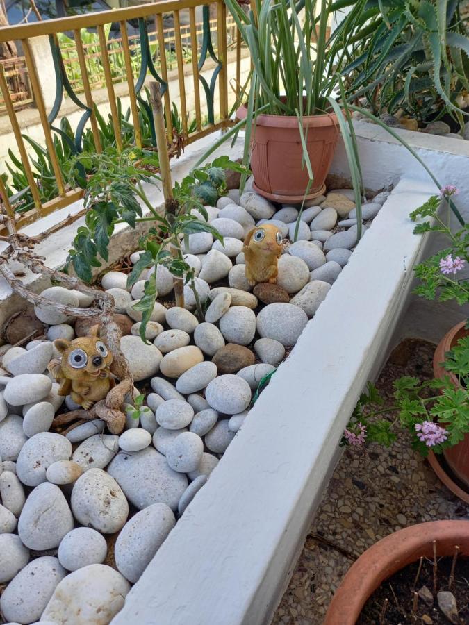 Alexandros Cosy House For Family Vacation Apartment Chania  Ngoại thất bức ảnh