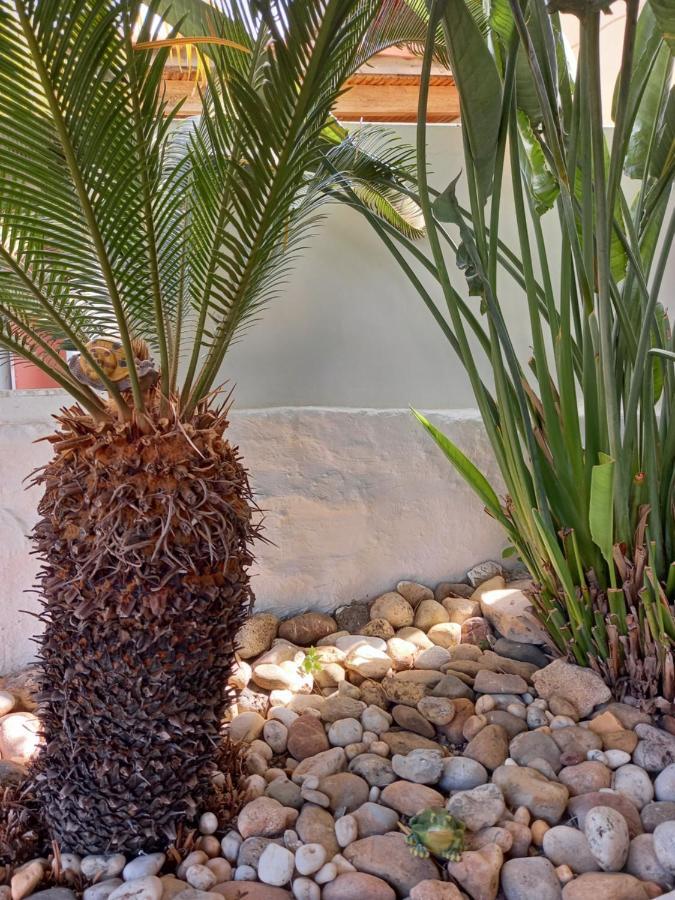 Alexandros Cosy House For Family Vacation Apartment Chania  Ngoại thất bức ảnh