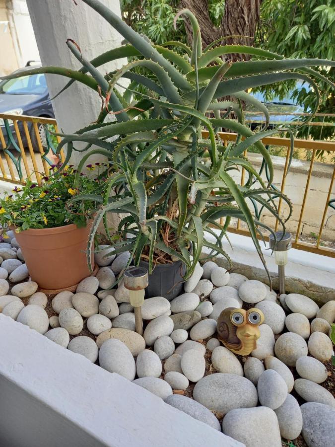 Alexandros Cosy House For Family Vacation Apartment Chania  Ngoại thất bức ảnh